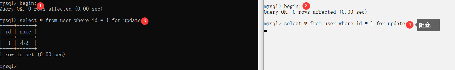 image-20230202111115661