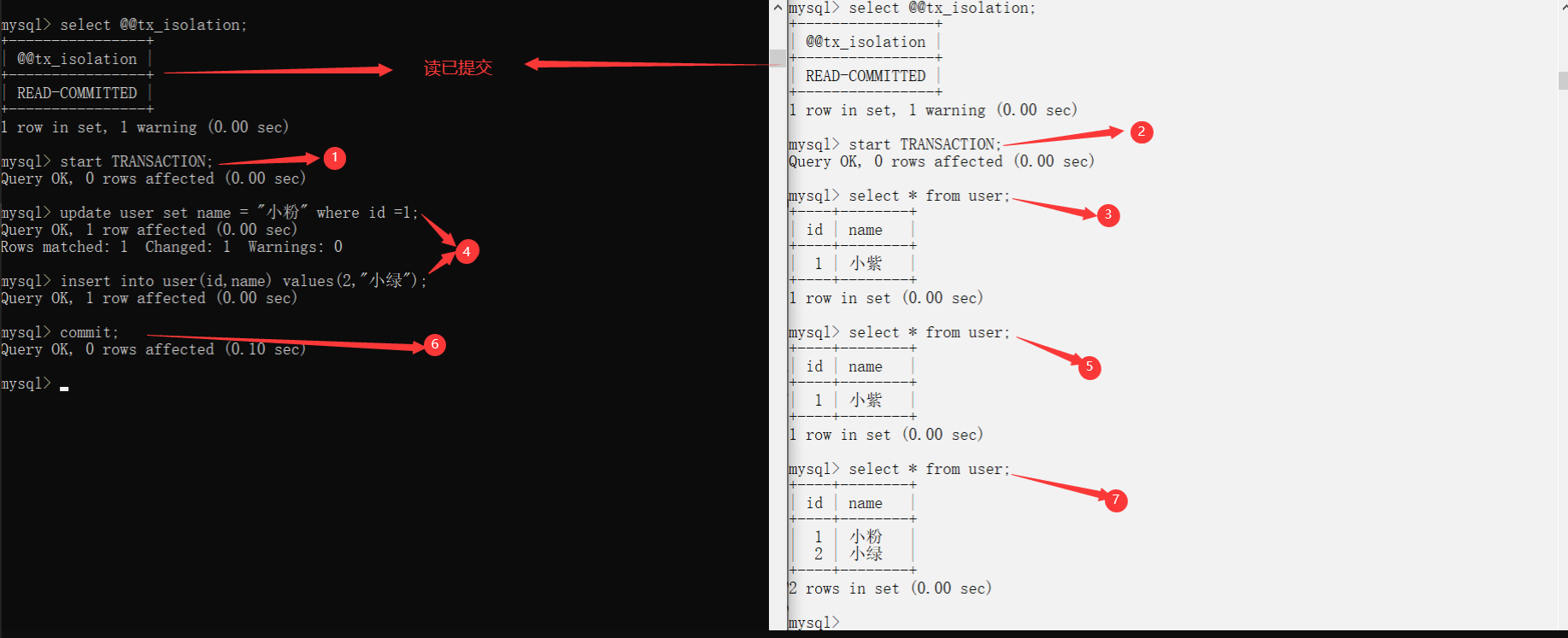 image-20230112172825892